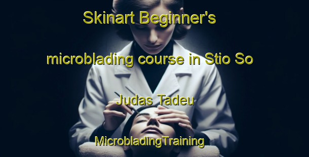 Skinart Beginner's microblading course in Stio So Judas Tadeu | MicrobladingTraining | MicrobladingClasses | SkinartTraining-Brazil