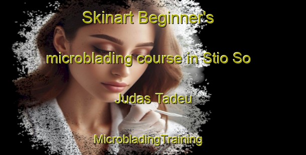 Skinart Beginner's microblading course in Stio So Judas Tadeu | MicrobladingTraining | MicrobladingClasses | SkinartTraining-Brazil