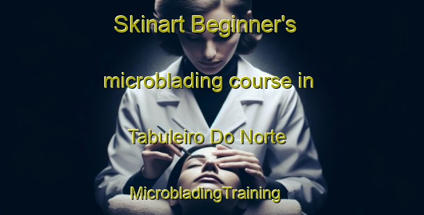 Skinart Beginner's microblading course in Tabuleiro Do Norte | MicrobladingTraining | MicrobladingClasses | SkinartTraining-Brazil