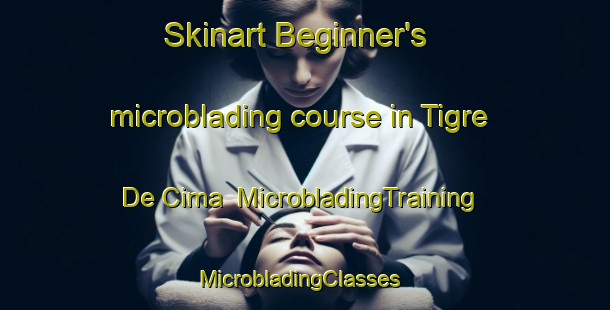 Skinart Beginner's microblading course in Tigre De Cima | MicrobladingTraining | MicrobladingClasses | SkinartTraining-Brazil