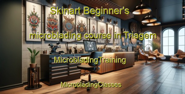 Skinart Beginner's microblading course in Triagem | MicrobladingTraining | MicrobladingClasses | SkinartTraining-Brazil