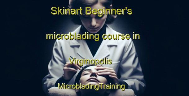 Skinart Beginner's microblading course in Virginopolis | MicrobladingTraining | MicrobladingClasses | SkinartTraining-Brazil