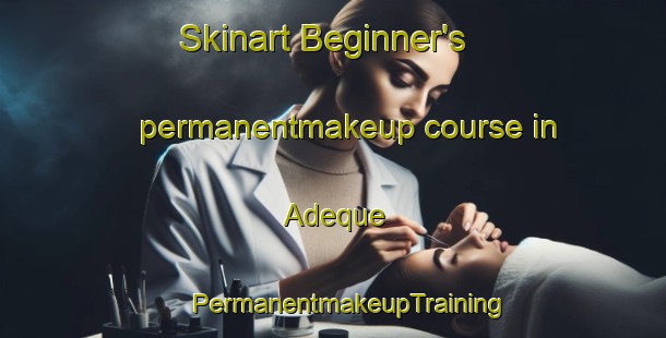 Skinart Beginner's permanentmakeup course in Adeque | #PermanentmakeupTraining #PermanentmakeupClasses #SkinartTraining-Brazil