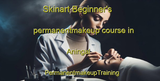 Skinart Beginner's permanentmakeup course in Aningal | PermanentmakeupTraining | PermanentmakeupClasses | SkinartTraining-Brazil