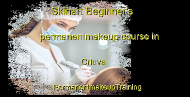 Skinart Beginner's permanentmakeup course in Criuva | PermanentmakeupTraining | PermanentmakeupClasses | SkinartTraining-Brazil