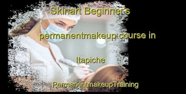 Skinart Beginner's permanentmakeup course in Itapiche | PermanentmakeupTraining | PermanentmakeupClasses | SkinartTraining-Brazil