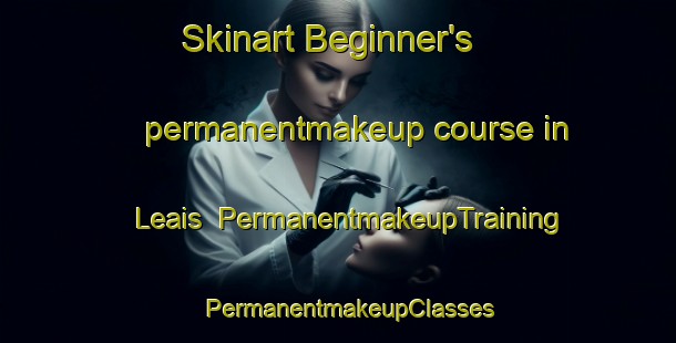 Skinart Beginner's permanentmakeup course in Leais | PermanentmakeupTraining | PermanentmakeupClasses | SkinartTraining-Brazil