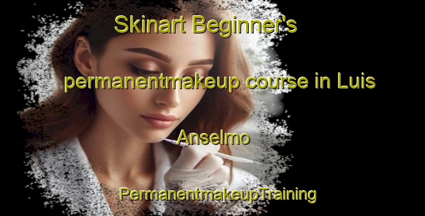 Skinart Beginner's permanentmakeup course in Luis Anselmo | PermanentmakeupTraining | PermanentmakeupClasses | SkinartTraining-Brazil