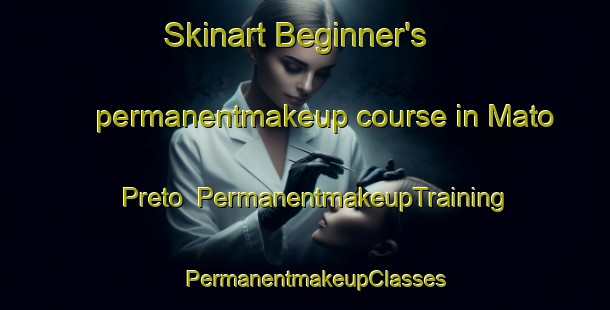Skinart Beginner's permanentmakeup course in Mato Preto | PermanentmakeupTraining | PermanentmakeupClasses | SkinartTraining-Brazil