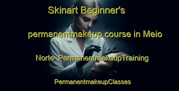 Skinart Beginner's permanentmakeup course in Meio Norte | PermanentmakeupTraining | PermanentmakeupClasses | SkinartTraining-Brazil