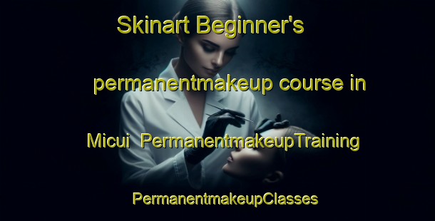 Skinart Beginner's permanentmakeup course in Micui | PermanentmakeupTraining | PermanentmakeupClasses | SkinartTraining-Brazil