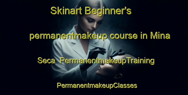 Skinart Beginner's permanentmakeup course in Mina Seca | PermanentmakeupTraining | PermanentmakeupClasses | SkinartTraining-Brazil
