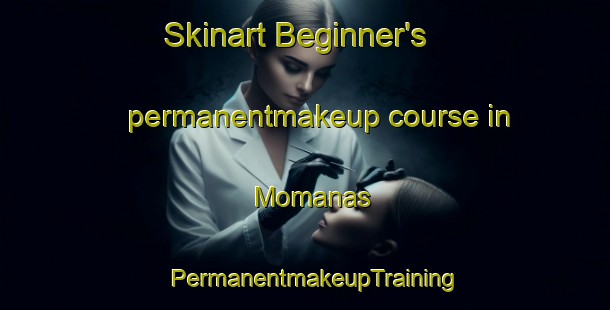 Skinart Beginner's permanentmakeup course in Momanas | PermanentmakeupTraining | PermanentmakeupClasses | SkinartTraining-Brazil