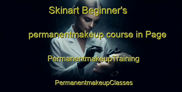 Skinart Beginner's permanentmakeup course in Page | PermanentmakeupTraining | PermanentmakeupClasses | SkinartTraining-Brazil