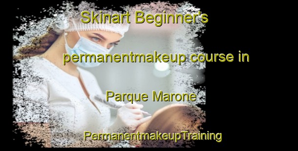 Skinart Beginner's permanentmakeup course in Parque Marone | PermanentmakeupTraining | PermanentmakeupClasses | SkinartTraining-Brazil