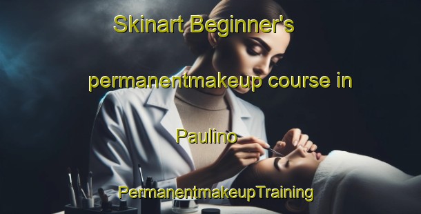 Skinart Beginner's permanentmakeup course in Paulino | PermanentmakeupTraining | PermanentmakeupClasses | SkinartTraining-Brazil