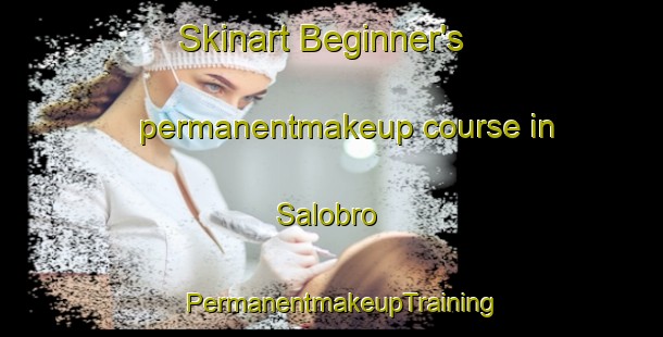 Skinart Beginner's permanentmakeup course in Salobro | PermanentmakeupTraining | PermanentmakeupClasses | SkinartTraining-Brazil