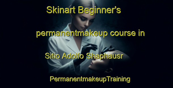 Skinart Beginner's permanentmakeup course in Sitio Adolfo Shaphausr | #PermanentmakeupTraining #PermanentmakeupClasses #SkinartTraining-Brazil