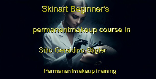 Skinart Beginner's permanentmakeup course in Sitio Geraldino Stigler | PermanentmakeupTraining | PermanentmakeupClasses | SkinartTraining-Brazil