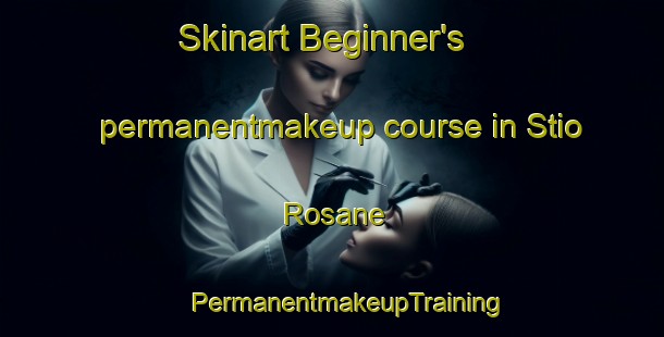 Skinart Beginner's permanentmakeup course in Stio Rosane | #PermanentmakeupTraining #PermanentmakeupClasses #SkinartTraining-Brazil