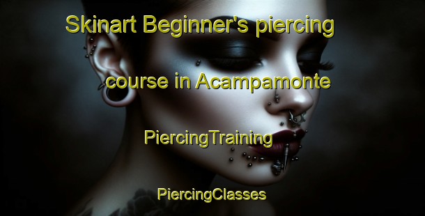 Skinart Beginner's piercing course in Acampamonte | #PiercingTraining #PiercingClasses #SkinartTraining-Brazil