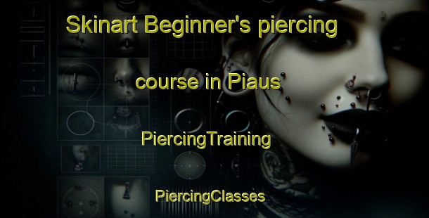 Skinart Beginner's piercing course in Piaus | PiercingTraining | PiercingClasses | SkinartTraining-Brazil