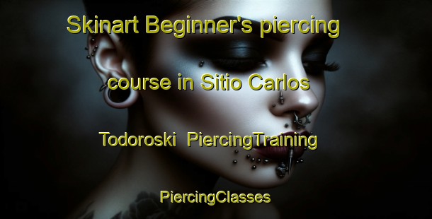 Skinart Beginner's piercing course in Sitio Carlos Todoroski | #PiercingTraining #PiercingClasses #SkinartTraining-Brazil