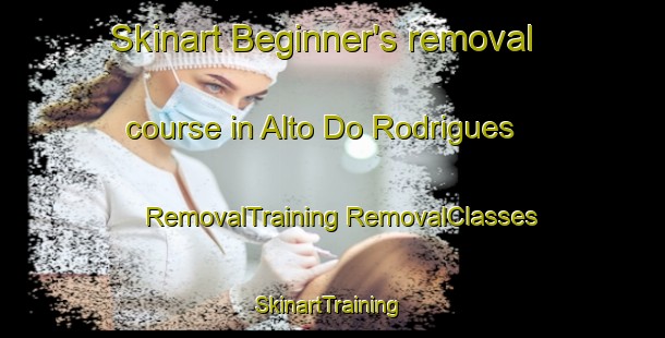 Skinart Beginner's removal course in Alto Do Rodrigues | #RemovalTraining #RemovalClasses #SkinartTraining-Brazil