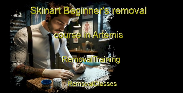 Skinart Beginner's removal course in Artemis | RemovalTraining | RemovalClasses | SkinartTraining-Brazil