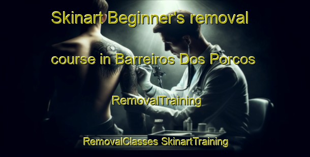 Skinart Beginner's removal course in Barreiros Dos Porcos | #RemovalTraining #RemovalClasses #SkinartTraining-Brazil