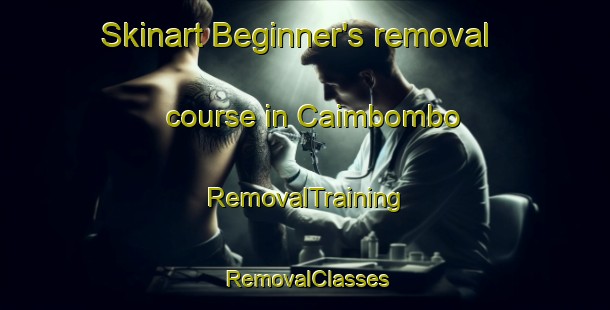 Skinart Beginner's removal course in Caimbombo | RemovalTraining | RemovalClasses | SkinartTraining-Brazil