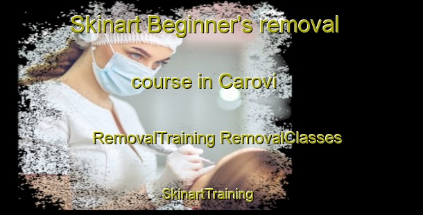 Skinart Beginner's removal course in Carovi | #RemovalTraining #RemovalClasses #SkinartTraining-Brazil