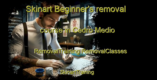 Skinart Beginner's removal course in Cedro Medio | #RemovalTraining #RemovalClasses #SkinartTraining-Brazil