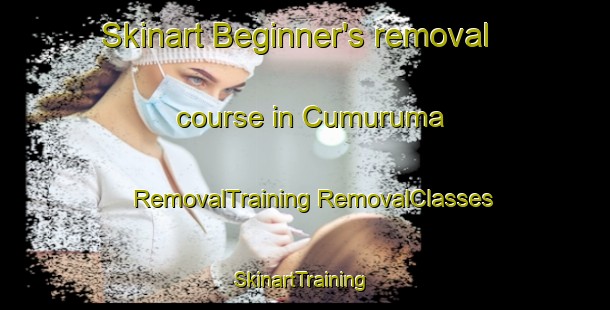 Skinart Beginner's removal course in Cumuruma | #RemovalTraining #RemovalClasses #SkinartTraining-Brazil