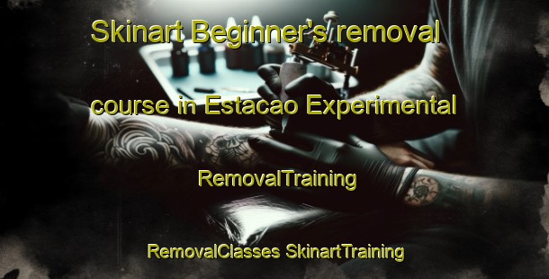 Skinart Beginner's removal course in Estacao Experimental | #RemovalTraining #RemovalClasses #SkinartTraining-Brazil