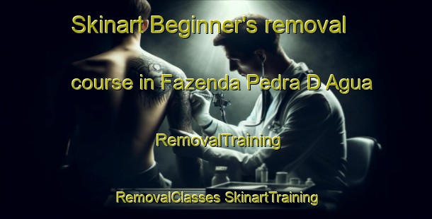 Skinart Beginner's removal course in Fazenda Pedra D Agua | #RemovalTraining #RemovalClasses #SkinartTraining-Brazil