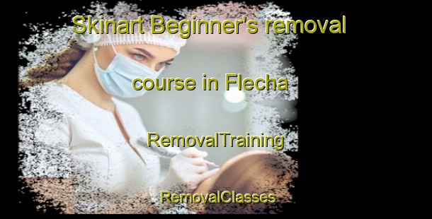 Skinart Beginner's removal course in Flecha | RemovalTraining | RemovalClasses | SkinartTraining-Brazil