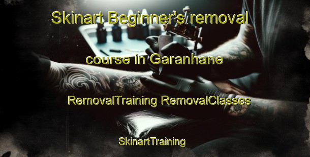 Skinart Beginner's removal course in Garanhane | #RemovalTraining #RemovalClasses #SkinartTraining-Brazil