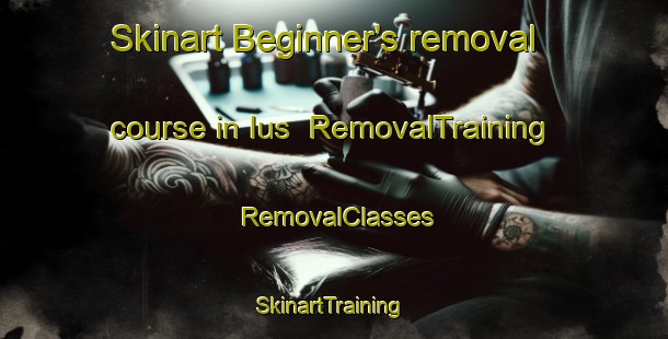 Skinart Beginner's removal course in Ius | RemovalTraining | RemovalClasses | SkinartTraining-Brazil