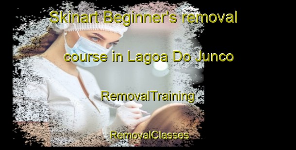 Skinart Beginner's removal course in Lagoa Do Junco | RemovalTraining | RemovalClasses | SkinartTraining-Brazil
