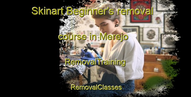 Skinart Beginner's removal course in Merejo | RemovalTraining | RemovalClasses | SkinartTraining-Brazil