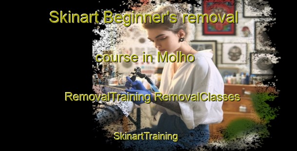 Skinart Beginner's removal course in Molho | #RemovalTraining #RemovalClasses #SkinartTraining-Brazil