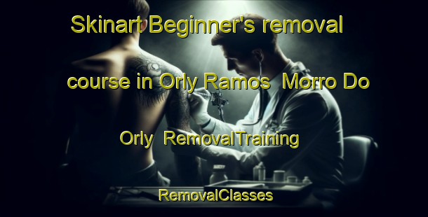Skinart Beginner's removal course in Orly Ramos  Morro Do Orly | RemovalTraining | RemovalClasses | SkinartTraining-Brazil