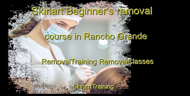 Skinart Beginner's removal course in Rancho Grande | #RemovalTraining #RemovalClasses #SkinartTraining-Brazil