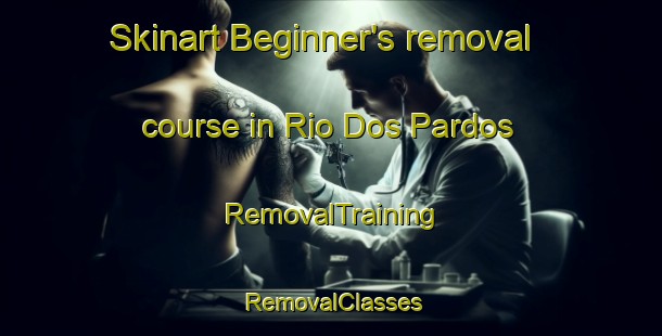Skinart Beginner's removal course in Rio Dos Pardos | RemovalTraining | RemovalClasses | SkinartTraining-Brazil