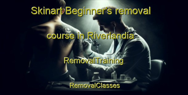 Skinart Beginner's removal course in Riverlandia | RemovalTraining | RemovalClasses | SkinartTraining-Brazil