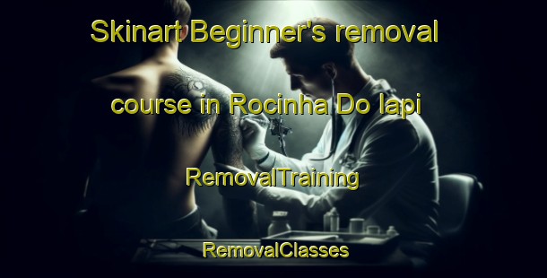 Skinart Beginner's removal course in Rocinha Do Iapi | RemovalTraining | RemovalClasses | SkinartTraining-Brazil