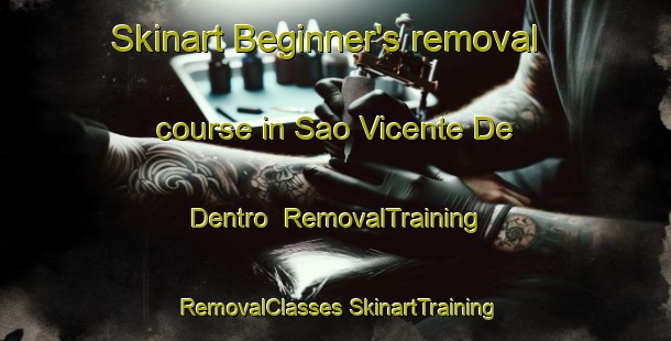 Skinart Beginner's removal course in Sao Vicente De Dentro | #RemovalTraining #RemovalClasses #SkinartTraining-Brazil