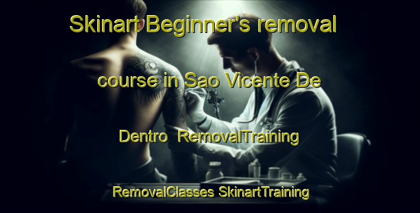 Skinart Beginner's removal course in Sao Vicente De Dentro | #RemovalTraining #RemovalClasses #SkinartTraining-Brazil