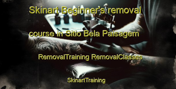 Skinart Beginner's removal course in Sitio Bela Paisagem | #RemovalTraining #RemovalClasses #SkinartTraining-Brazil